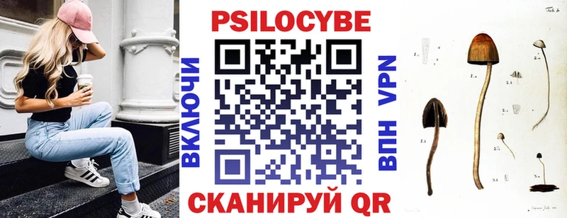 Псилоцибиновые грибы прущие грибы  дарнет шоп  Сафоново 